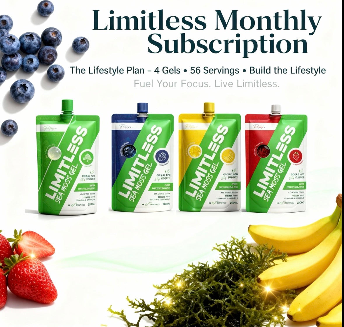Monthly Subscription